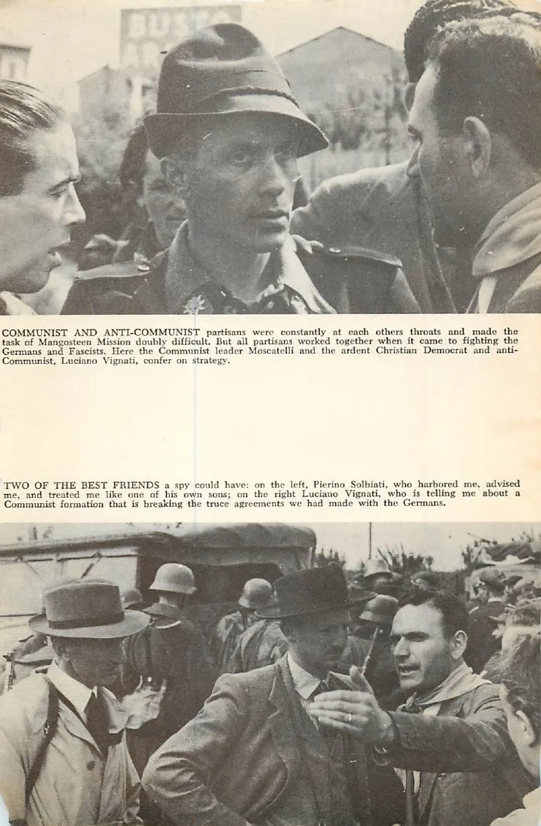 Gallery PDF page 11